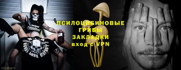 МДПВ Козельск