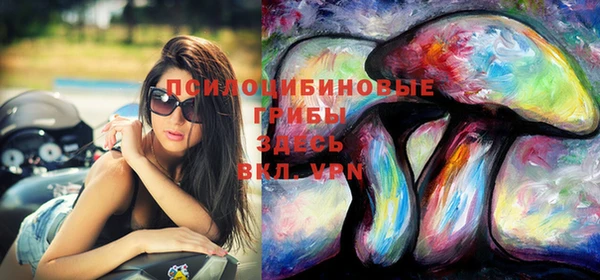 МДПВ Козельск