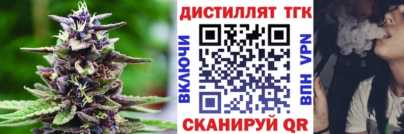 Купить Жирновск ТГК концентрат