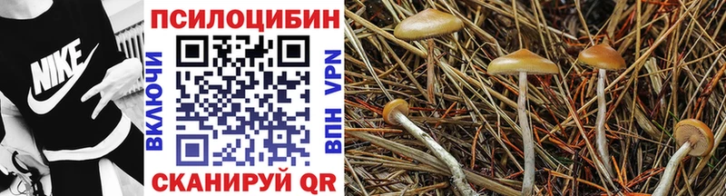 Псилоцибиновые грибы мицелий  Купить где  Жирновск 